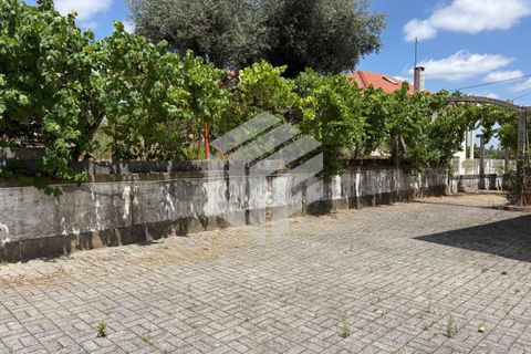 Villa i Tabua, Coimbra, Tabua - € 205.000 | Ref: LMF 086 - foto 6