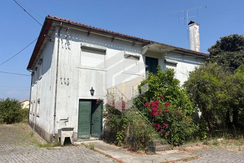 Villa i Tabua, Coimbra, Tabua - € 205.000 | Ref: LMF 086 - foto 7