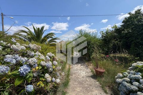 Villa i Tabua, Coimbra, Tabua - € 205.000 | Ref: LMF 086 - foto 10