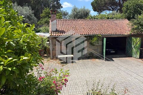 Villa i Tabua, Coimbra, Tabua - € 205.000 | Ref: LMF 086 - foto 30