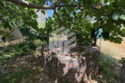 Villa i Tabua, Coimbra, Tabua - € 205.000 | Ref: LMF 086 - foto 33