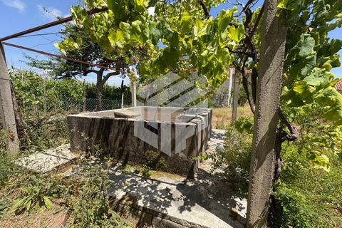 Villa i Tabua, Coimbra, Tabua - € 205.000 | Ref: LMF 086 - foto 34