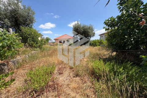 Villa i Tabua, Coimbra, Tabua - € 205.000 | Ref: LMF 086 - foto 36