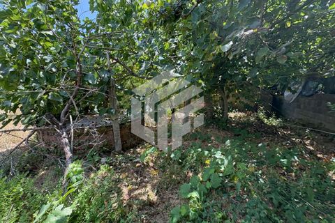 Villa i Tabua, Coimbra, Tabua - € 205.000 | Ref: LMF 086 - foto 37