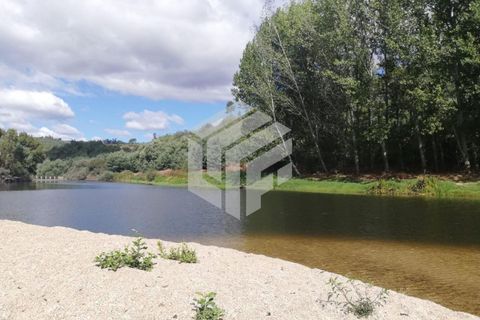 Landejendom i Tabua, Coimbra, Tabua - € 269.000 | Ref: LMF095 - foto 13
