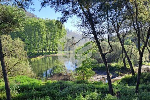 Landejendom i Tabua, Coimbra, Tabua - € 269.000 | Ref: LMF095 - foto 15