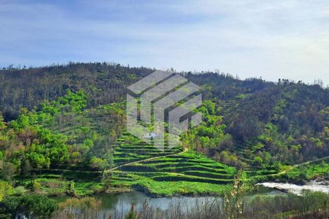 Landejendom i Tabua, Coimbra, Tabua - € 269.000 | Ref: LMF095 - foto 16