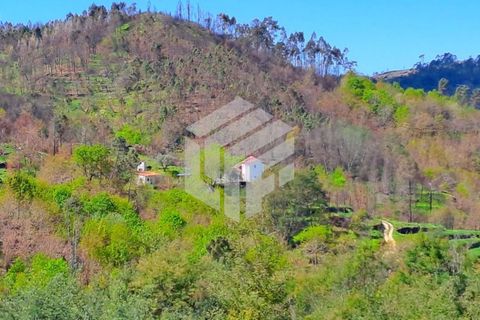 Landejendom i Tabua, Coimbra, Tabua - € 269.000 | Ref: LMF095 - foto 19