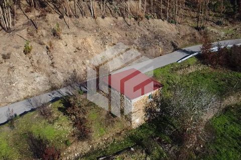 Herregård i Arganil, Coimbra, Arganil - € 45 000 | Ref: 109 - foto 3