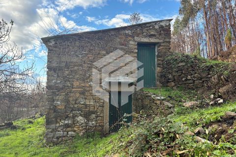 Herregård i Arganil, Coimbra, Arganil - € 45 000 | Ref: 109 - foto 7