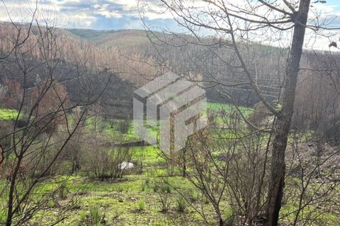 Herregård i Arganil, Coimbra, Arganil - € 45 000 | Ref: 109 - foto 8