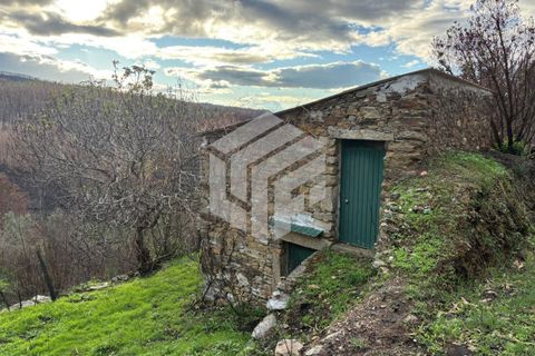 Herregård i Arganil, Coimbra, Arganil - € 45 000 | Ref: 109 - foto 9