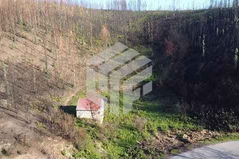 Landejendom i Arganil, Coimbra, Arganil - € 35.000 | Ref: 110 - foto 3