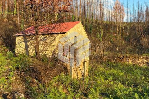 Landejendom i Arganil, Coimbra, Arganil - € 35.000 | Ref: 110 - foto 4