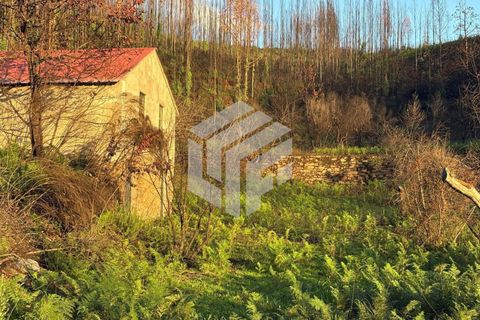 Landejendom i Arganil, Coimbra, Arganil - € 35.000 | Ref: 110 - foto 5