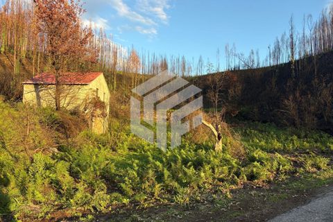 Landejendom i Arganil, Coimbra, Arganil - € 35.000 | Ref: 110 - foto 6