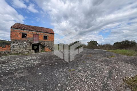 Landejendom i Tabua, Coimbra, Tabua - € 50.000 | Ref: LMF 127 - foto 2