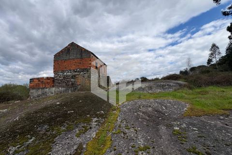 Landejendom i Tabua, Coimbra, Tabua - € 50.000 | Ref: LMF 127 - foto 5