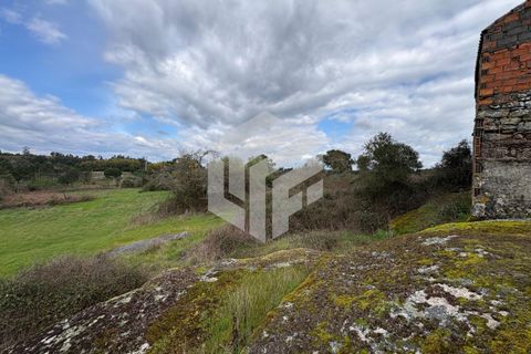 Landejendom i Tabua, Coimbra, Tabua - € 50.000 | Ref: LMF 127 - foto 6