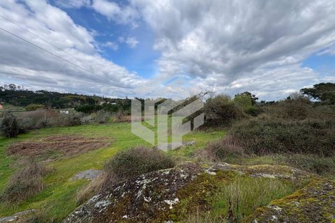 Landejendom i Tabua, Coimbra, Tabua - € 50.000 | Ref: LMF 127 - foto 7
