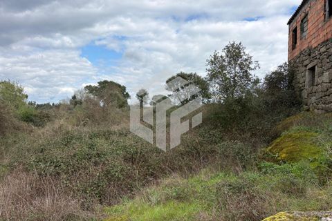 Landejendom i Tabua, Coimbra, Tabua - € 50.000 | Ref: LMF 127 - foto 8