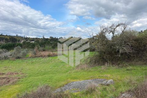 Landejendom i Tabua, Coimbra, Tabua - € 50.000 | Ref: LMF 127 - foto 9