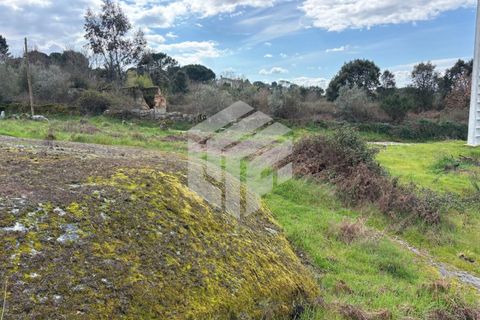 Landejendom i Tabua, Coimbra, Tabua - € 50.000 | Ref: LMF 127 - foto 10