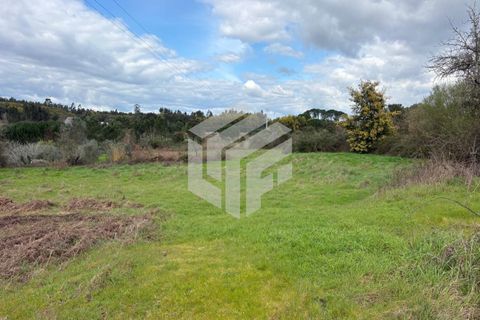 Landejendom i Tabua, Coimbra, Tabua - € 50.000 | Ref: LMF 127 - foto 11