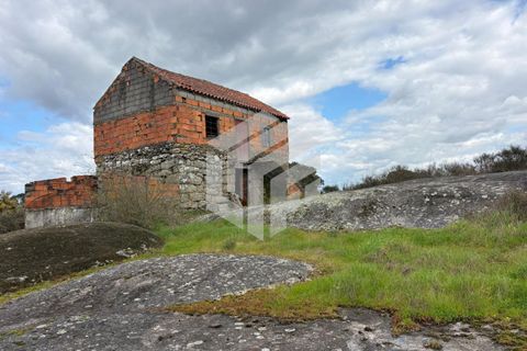 Landejendom i Tabua, Coimbra, Tabua - € 50.000 | Ref: LMF 127 - foto 15