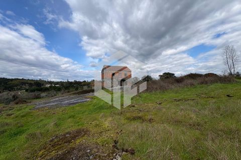Landejendom i Tabua, Coimbra, Tabua - € 50.000 | Ref: LMF 127 - foto 17