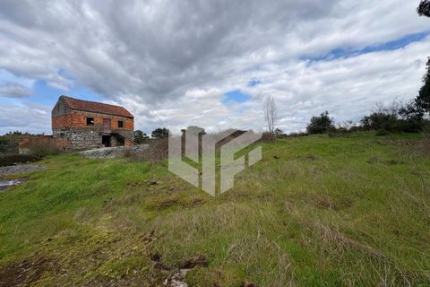 Landejendom i Tabua, Coimbra, Tabua - € 50.000 | Ref: LMF 127 - foto 18