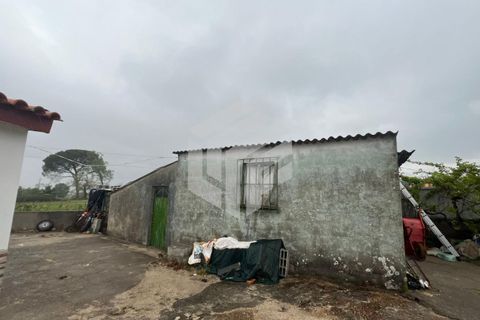 Villa i Tabua, Coimbra, Tabua - € 165.000 | Ref: LMF 132 - foto 23