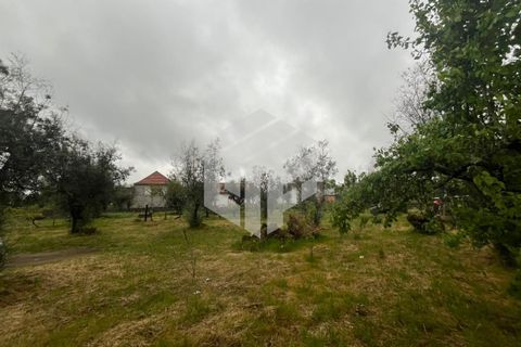 Villa i Tabua, Coimbra, Tabua - € 165.000 | Ref: LMF 132 - foto 28