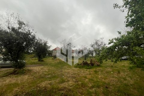 Villa i Tabua, Coimbra, Tabua - € 165.000 | Ref: LMF 132 - foto 29