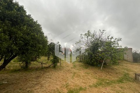 Villa i Tabua, Coimbra, Tabua - € 165.000 | Ref: LMF 132 - foto 30