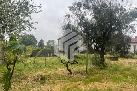 Villa i Tabua, Coimbra, Tabua - € 165.000 | Ref: LMF 132 - foto 34