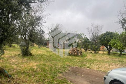 Villa i Tabua, Coimbra, Tabua - € 165.000 | Ref: LMF 132 - foto 35