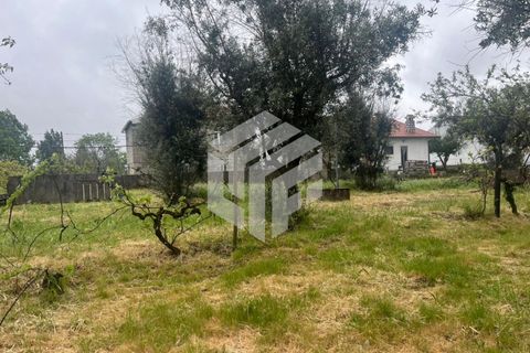 Villa i Tabua, Coimbra, Tabua - € 165.000 | Ref: LMF 132 - foto 36