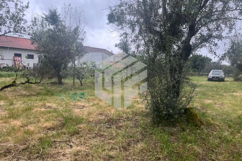 Villa i Tabua, Coimbra, Tabua - € 165.000 | Ref: LMF 132 - foto 37