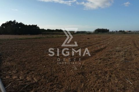 Helårsgrund i Lourinha, Lisbon, Lourinha - € 95.000 | Ref: SSP86 - foto 6