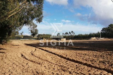 Helårsgrund i Lourinha, Lisbon, Lourinha - € 95.000 | Ref: SSP86 - foto 7