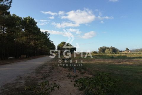 Helårsgrund i Lourinha, Lisbon, Lourinha - € 95.000 | Ref: SSP86 - foto 8