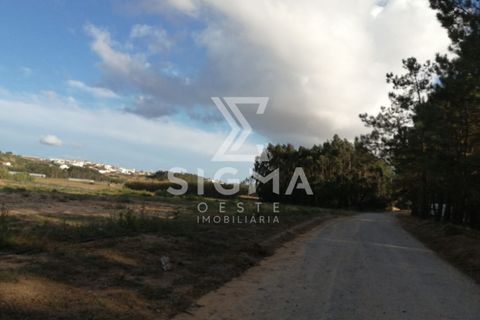 Helårsgrund i Lourinha, Lisbon, Lourinha - € 95.000 | Ref: SSP86 - foto 9