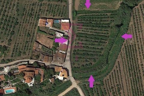 Helårsgrund i Bombarral, Leiria, Bombarral - € 15.000 | Ref: SRP93 - foto 1