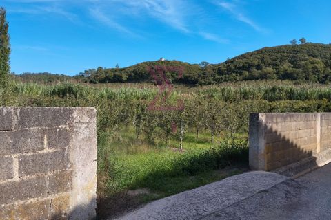 Helårsgrund i Bombarral, Leiria, Bombarral - € 15.000 | Ref: SRP93 - foto 4