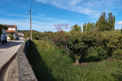 Helårsgrund i Bombarral, Leiria, Bombarral - € 15.000 | Ref: SRP93 - foto 5