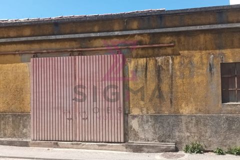 Villa i Bombarral, Leiria, Bombarral - € 240.000 | Ref: SRD103 - foto 11