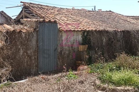 Villa i Bombarral, Leiria, Bombarral - € 240.000 | Ref: SRD103 - foto 15