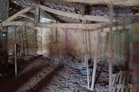 Erhvervsejendom i Bombarral, Leiria, Bombarral - € 37.500 | Ref: SFF195 - foto 3
