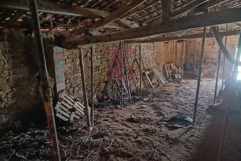 Erhvervsejendom i Bombarral, Leiria, Bombarral - € 37.500 | Ref: SFF195 - foto 4